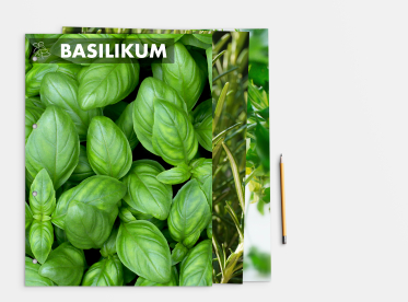 Fotoblätter DIN A4+