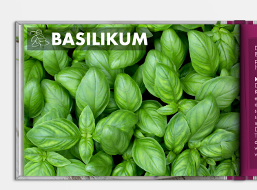 Fotobuch erstellen DIN A5 quer