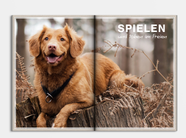 Fotobuch erstellen mit Softcover DIN A4 hoch