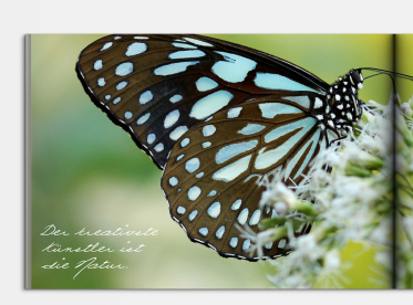 Fotobuch erstellen mit Softcover DIN A5 quer