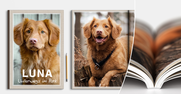 Fotobuch erstellen mit Softcover DIN A4 hoch