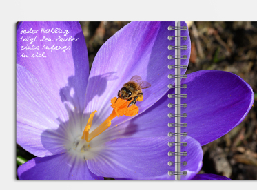 Fotobuch erstellen mit Ringbindung 21x21 cm