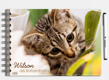 Fotobuch erstellen mit Ringbindung DIN A5 quer