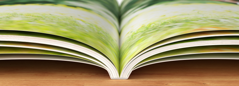 Fotobücher erstellen mit Softcover