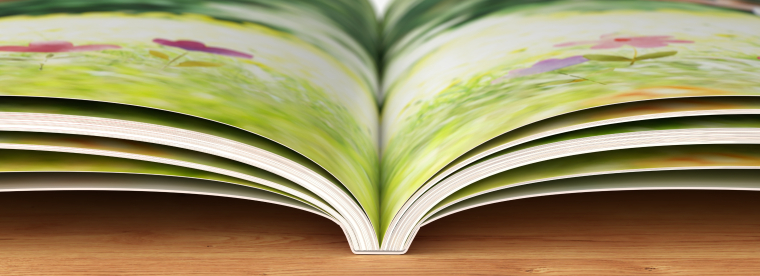 Fotobücher erstellen mit Softcover