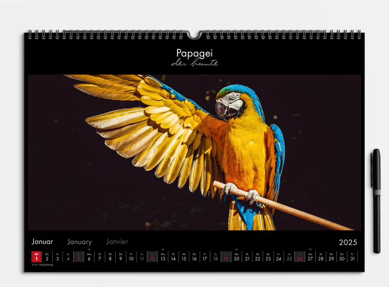 Kostenlose Kalender Vorlage Office II