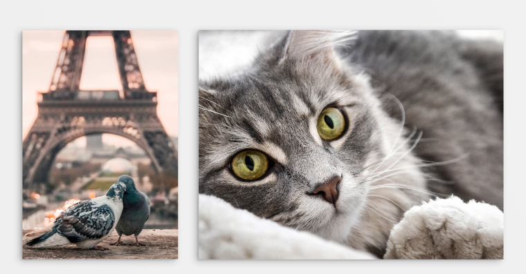 Ihr Foto auf Alu Dibond™ selbst gestalten und bestellen