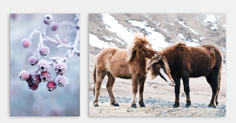 Ihr Foto auf Forex™ selbst gestalten und bestellen