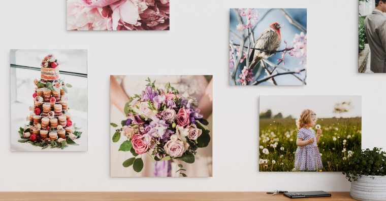 Foto auf Alu Dibond™ selbst gestalten und bestellen