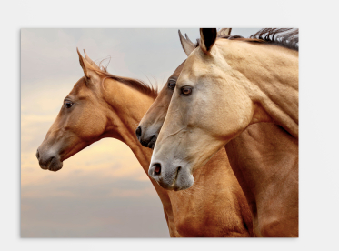 Ihr Foto auf Alu Dibond™ im Format 30x40 cm selbst gestalten und bestellen