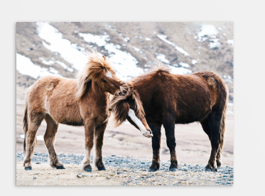 Ihr Foto auf einer Forex™ Hartschaumplatte im quadratischen Format 20x20 cm selbst gestalten