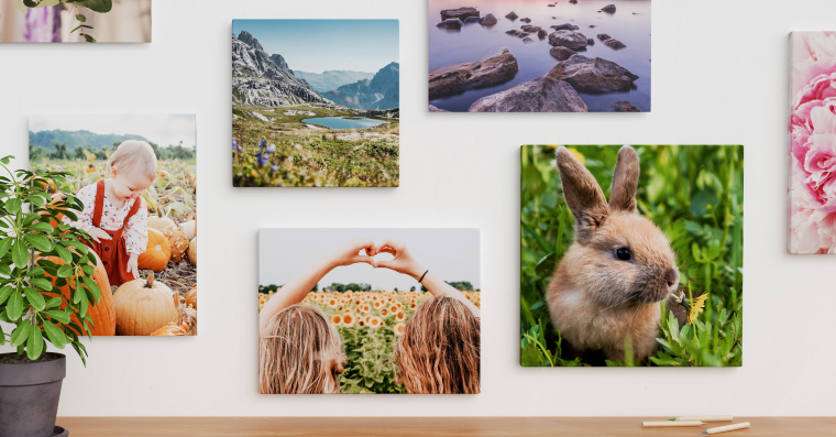 Ihr Foto als Wandbild auf Leinwand, Alu Dibond™ oder Forex™ selbst gestalten und bestellen