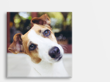 Foto auf Leinwand im quadratischen Format 20x20 cm selbst gestalten.