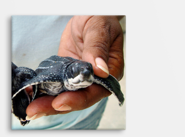 Foto auf Leinwand im quadratischen Format 30x30 cm selbst gestalten.