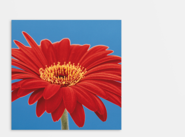 Ihr Foto auf Alu Dibond™ im quadratischen Format 20x20 cm selbst gestalten