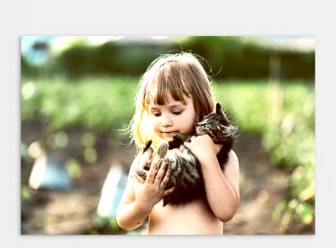 Ihr Foto auf Alu Dibond™ im Format 20x30 cm selbst gestalten.