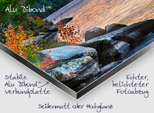 Ihr Foto auf Alu Dibond™ selbst gestalten und bestellen.
