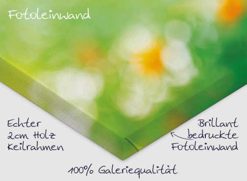 Ihr Foto auf Leinwand selbst gestalten und bestellen