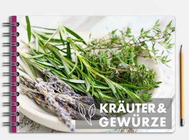 Fotobuch erstellen mit Ringbindung DIN A5 quer