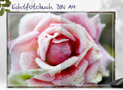 Echtfotobuch erstellen mit ScratchResist™ Veredelung