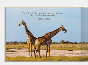 LayFlat Fotobuch erstellen mit Prägung DIN A4 quer