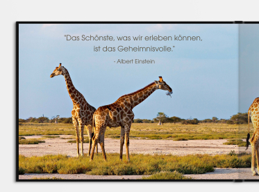 LayFlat Fotobuch erstellen mit Prägung DIN A4 quer