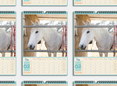 Fotokalender DIN A4 hoch Staffelpreise
