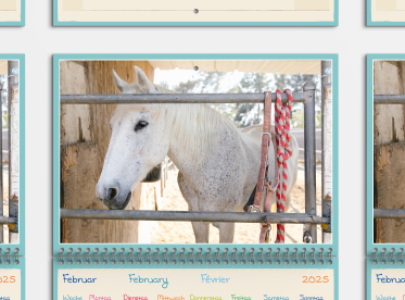 Duplex Fotokalender DIN A4 quer Staffelpreise