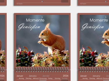 Duplex Fotokalender 21x21 cm Staffelpreise