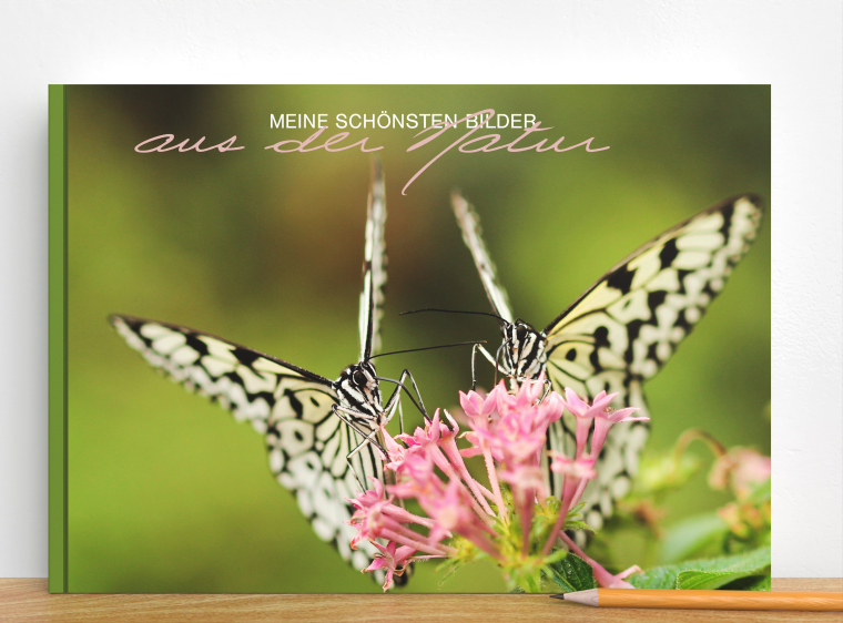 Fotobuch Softcover DIN A5 quer