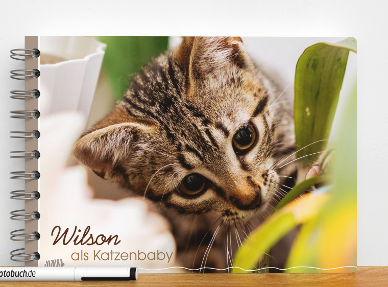 Fotobuch Ringbindung DIN A5 mit eigenen Fotos erstellen