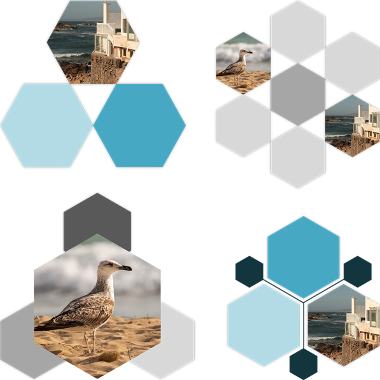 Artwork Hexagon