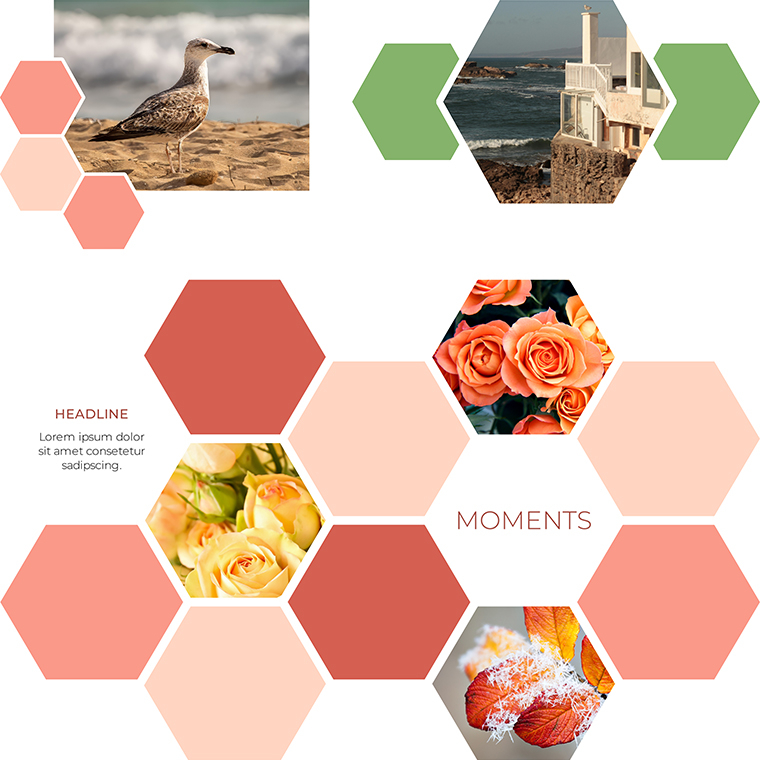 Artwork Hexagon