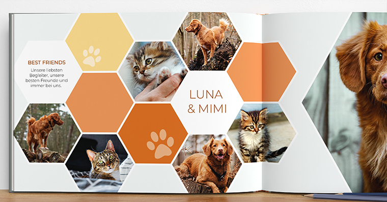 Fotobuch erstellen mit Artwork Hexagon