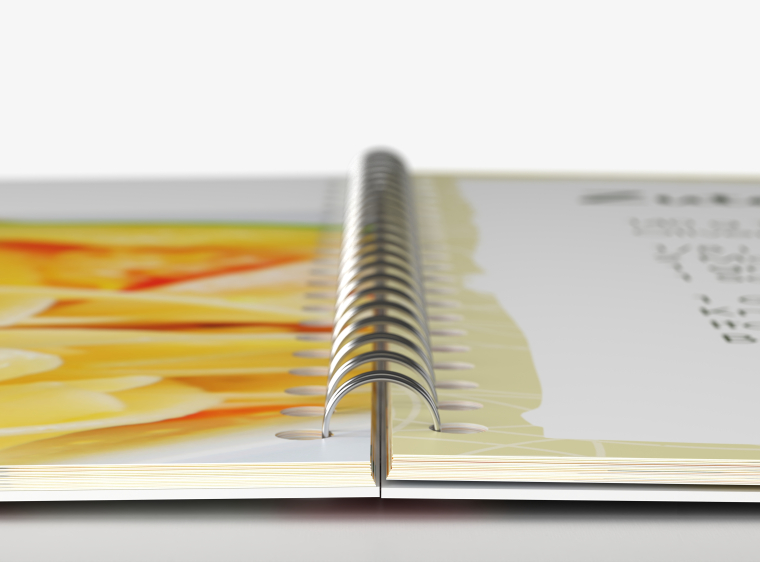 Fotobuch Ringbindung DIN A4