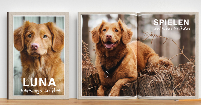 Fotobücher & Kalender mit persönlicher Beratung