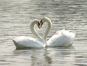 Wir freuen uns auf Ihren Anruf!